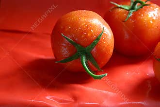 Bio Tomatoes