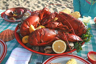 Lobster and Clambake