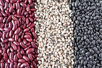 Beans Varieties