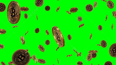 Detailed black golden bitcoin rain on greenscreen