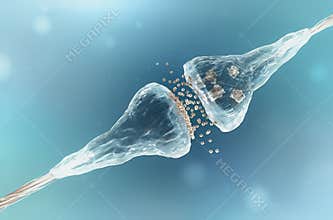 Synapse and Neuron