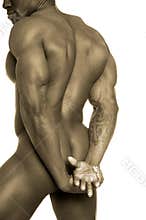 Male nude