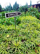 Gym & Spa signboard, tropical resort