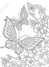 Zentangle stylized butterflies and sakura flower
