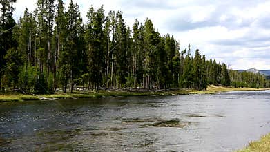 Firehole River Yellowstone National Park
