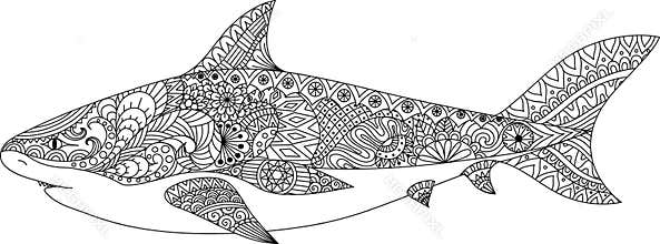 Shark line art design for coloring book for adult, tattoo, t shirt design and other decorations