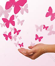 Release of the Butterflys