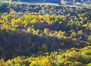 WV Nature's Autumn Colors