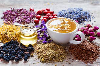 Cup of tea, honey jar, healing herbs and herbal tea assortment
