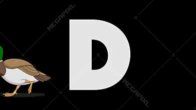 Letter D and Duck (foreground)