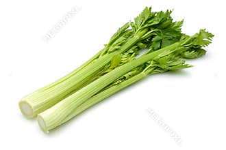 Celery