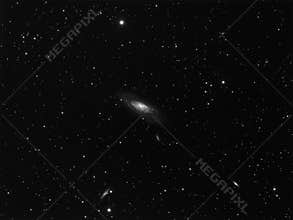 Spiral Galaxy M106