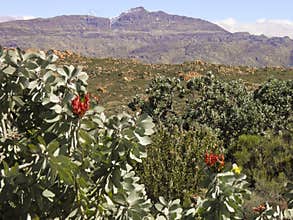 Landscape of Wolfberg Cracks in Cederberg