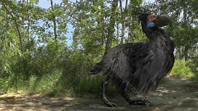 Gastornis (Terror Bird) In Forest Animation