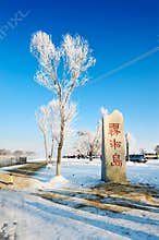 Jilin frost in blue sky