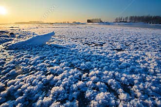 The ice flowers in the river