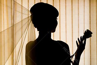 Silhouette of bride