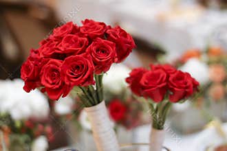 Red roses