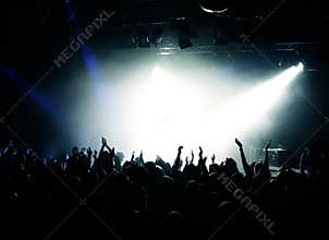 Cheering Crowd at concert