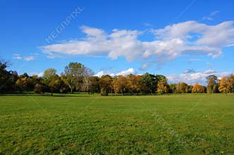 Forest and garden under blue sky at fall