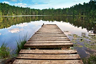 Wooden dock