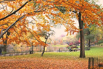 Central Park