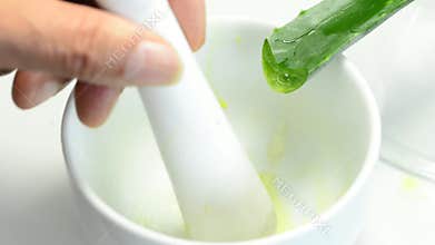 Aloe vera, fresh juice in a mortar