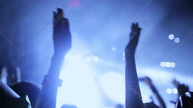 Concert crowd at live music festival