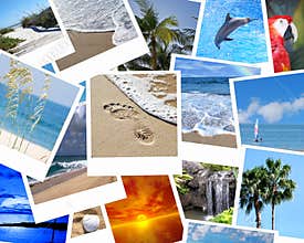 Vacation pics