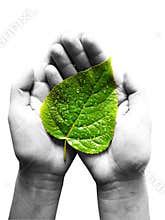 care of plants