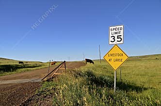 Cattle guards and roads