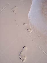 Footprints in the Sand