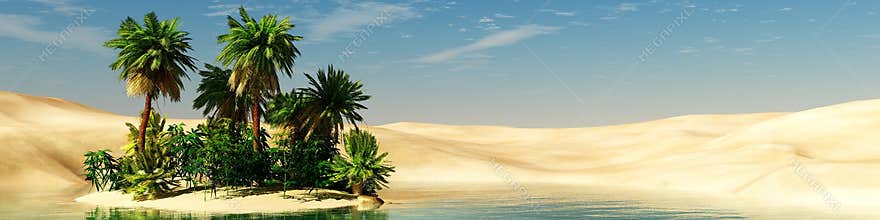 Oasis. sunset in the desert.