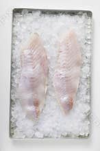 Fish fillets on ice