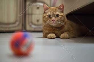 Let's play together!