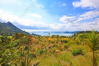 Beautiful Whangarei landscape in New Zealand