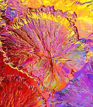 Crystals of citric acid