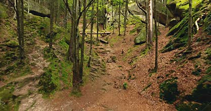 Aerial shot beautiful landscape with forest and cliff