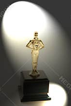 The Winner Award