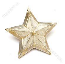 Gold star