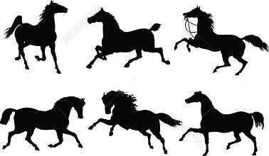 Horses in action
