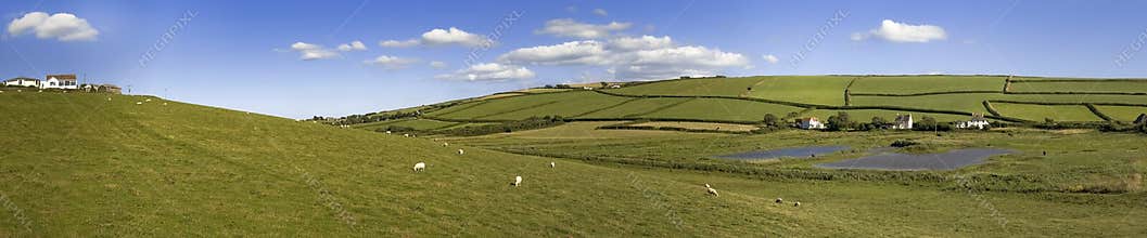 Farm