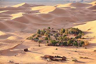 Oasis in Sahara desert
