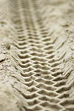 Vehicle tracks in sand