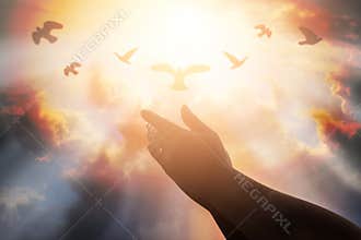 Human hands open palm up worship. Eucharist Therapy Bless God He