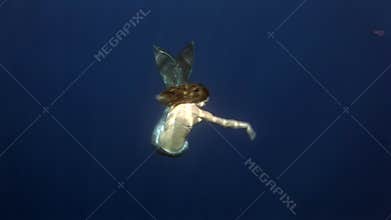 Young girl model underwater mermaid costume on blue background poses in Red Sea.