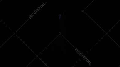 Ballet pa performance of ballerina girl sideways to the viewer