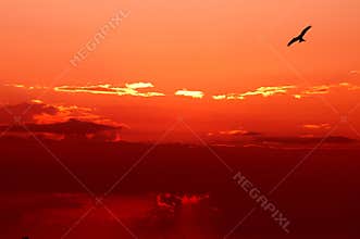 To fly up above the sky