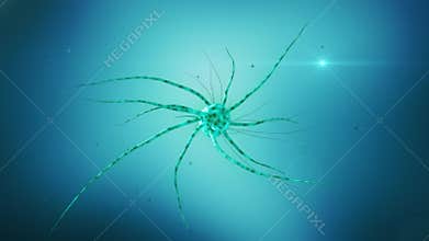 Mutating cell &#x28;virus of zika, virus of ebola, AIDS&#x29;. 3D animation