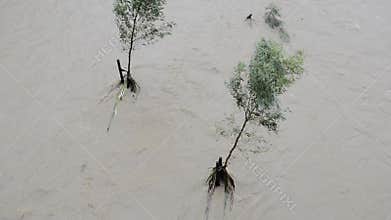 Flood waters after heavy rain in Brisbane, Queensland.